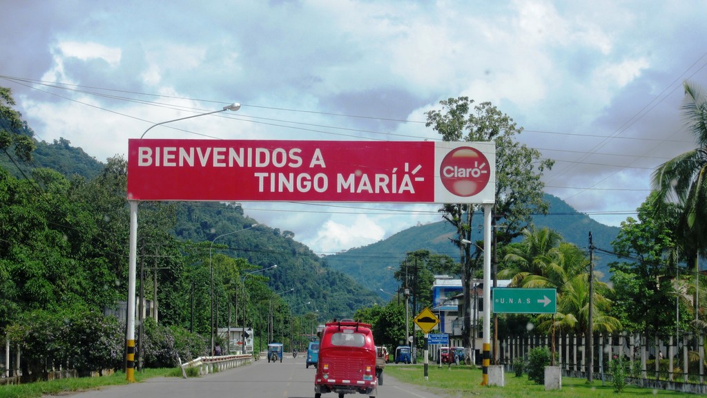 tingo-maria-verde-selva-mis-ojos-fbbaa4b1f923f1fcc08d70819cc773ef